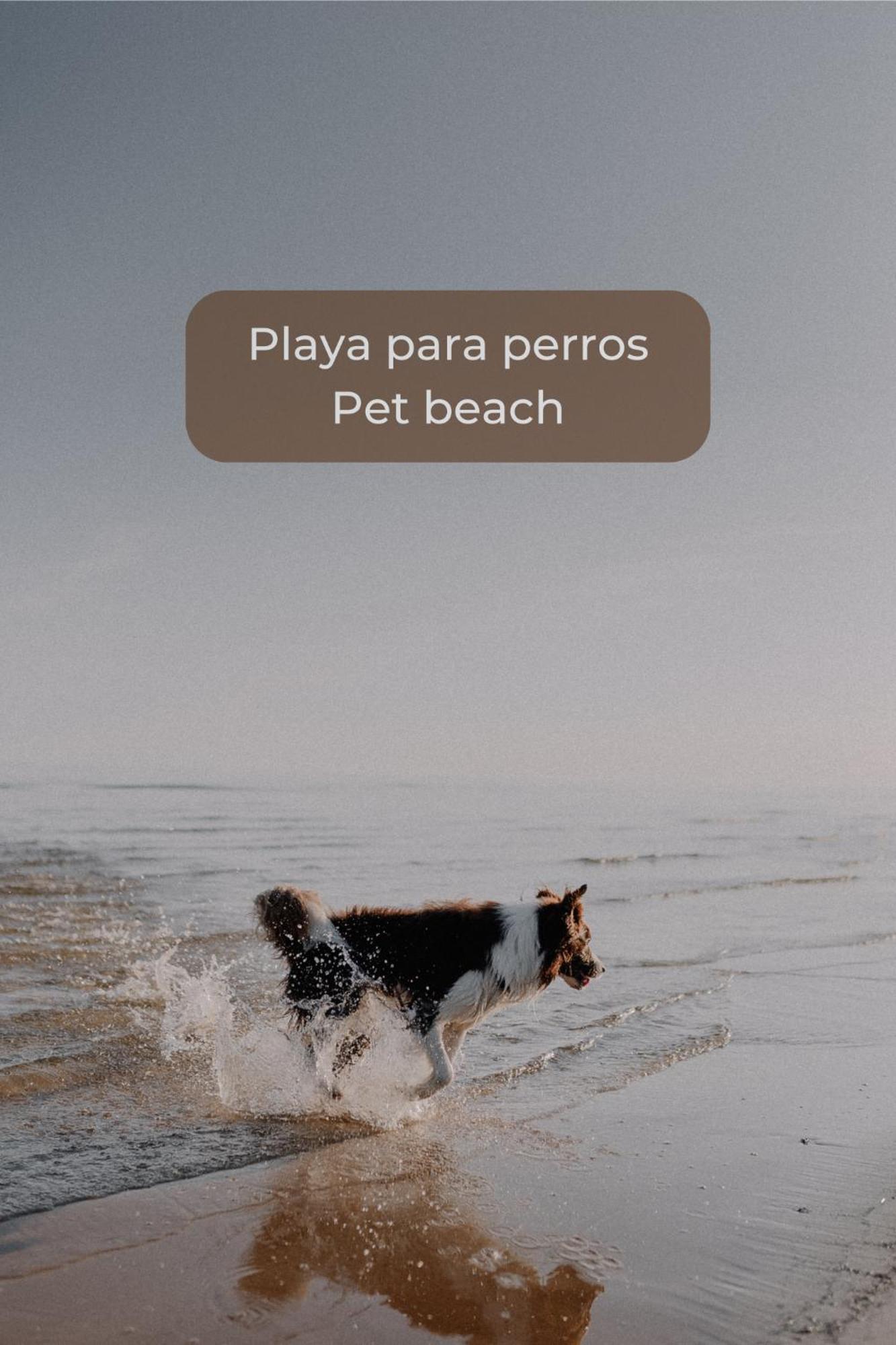 Maracuya Con Piscina, Terraza, Smart Tv, Cocina Completa Y Wifi Leilighet Corralejo Eksteriør bilde